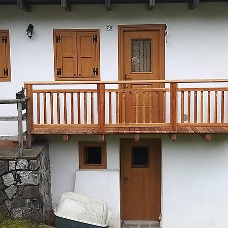Casa Lausen Apartment Канале Сан Бово Екстериор снимка